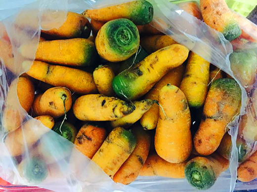 Medina ubcfarms goldencarrots web
